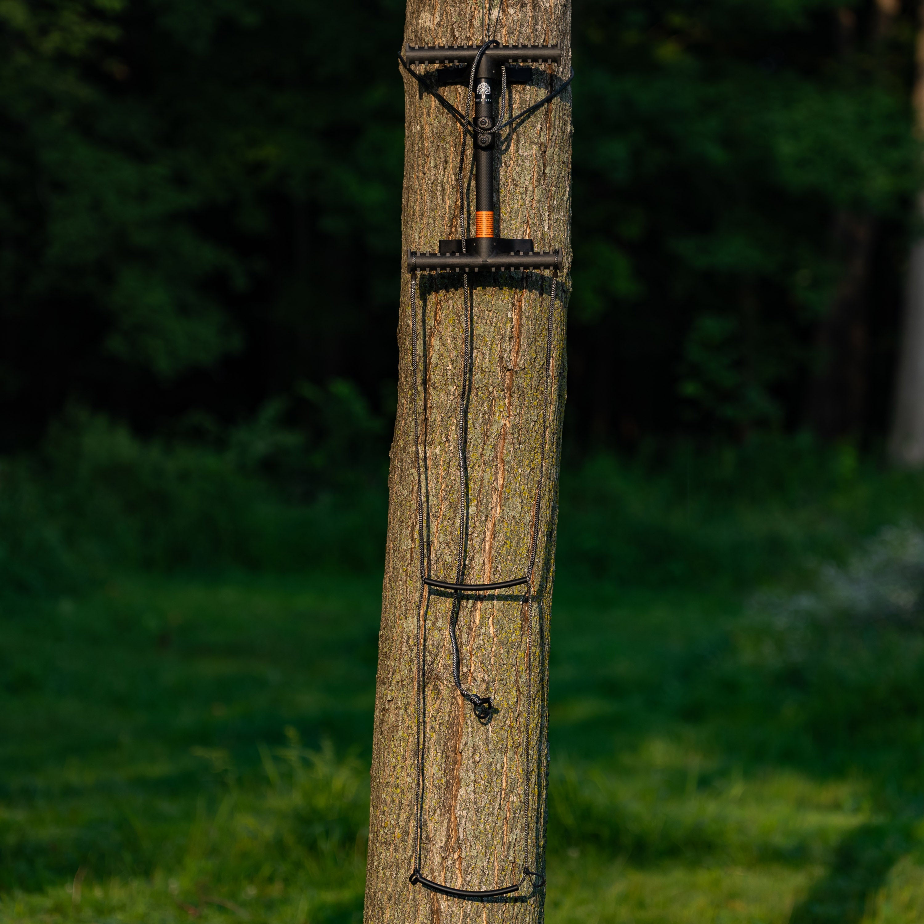 Tree Styx - One Stick